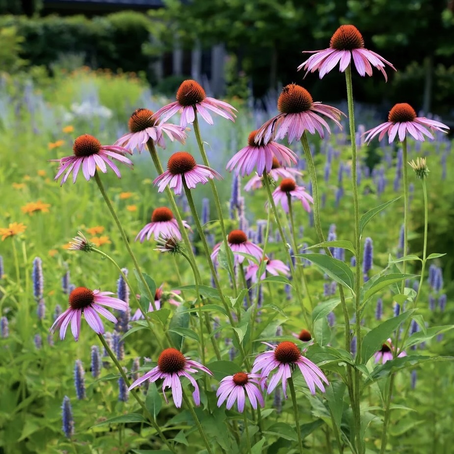 Photosby-PeterTMichaelis26.jpg-1